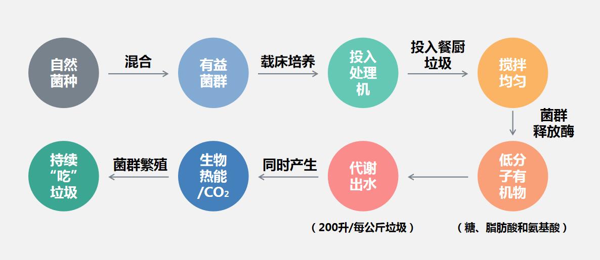 餐廚垃圾生物處理技術
